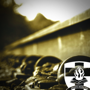 New Testament 503 - Introduction to Hermeneutics New Testament 503 - Introduction to Hermeneutics